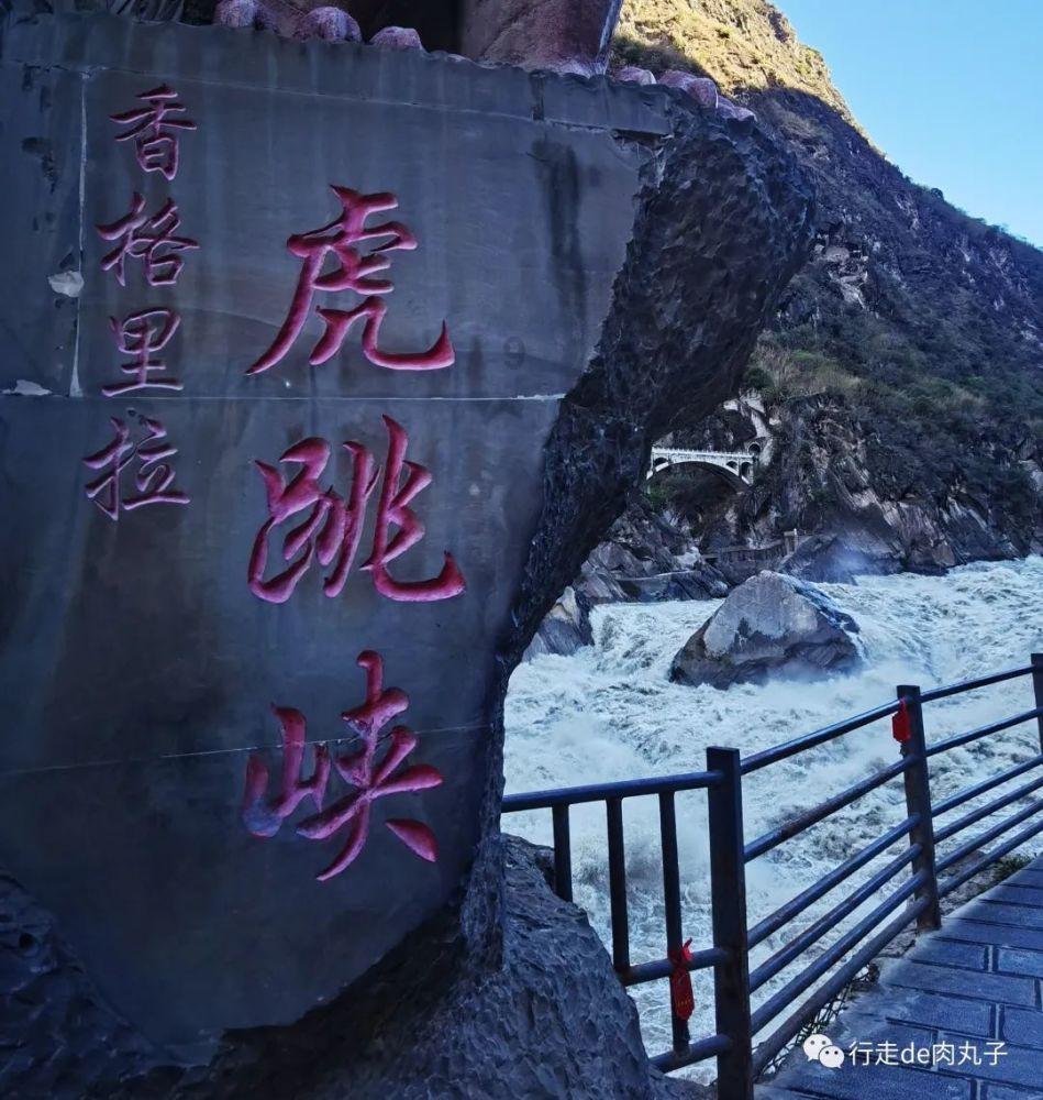 犀牛森林大逃生